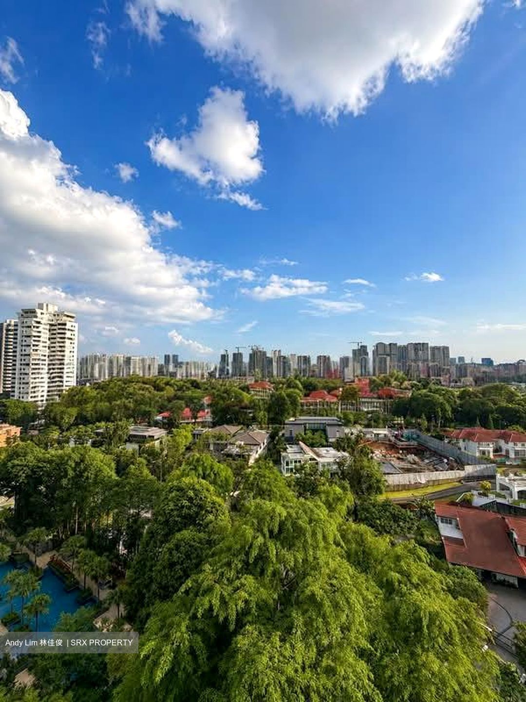 The Grange (D10), Condominium #596881691
